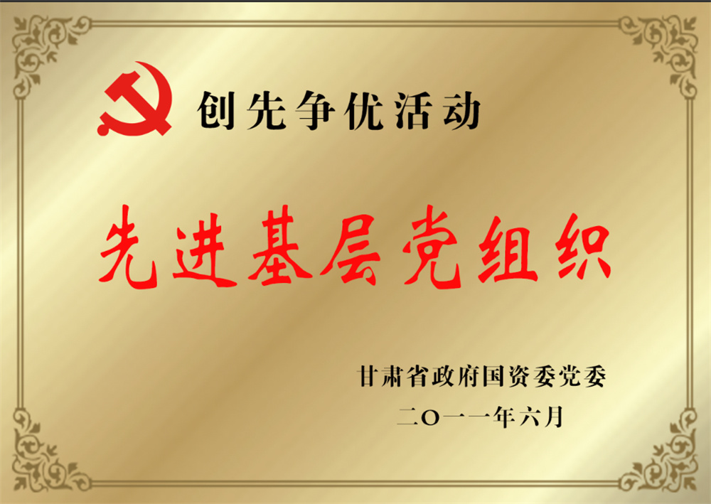 13-Advanced Grassroots Party Organization of Gansu Province