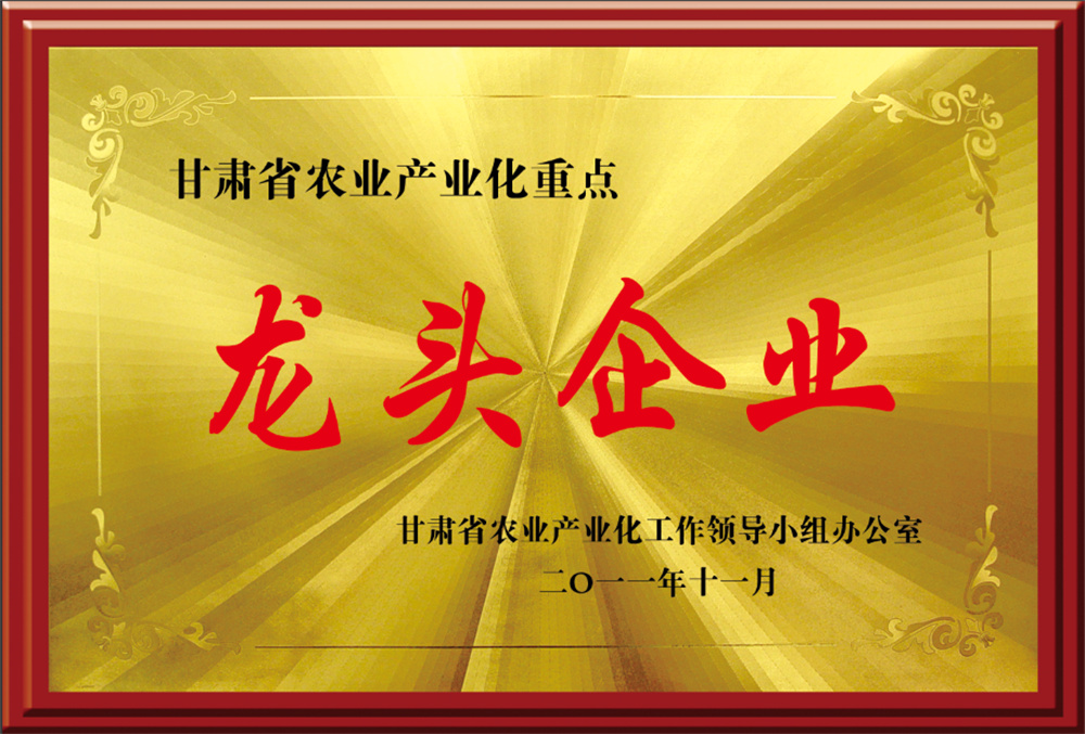 Key leading enterprises in Gansu Province